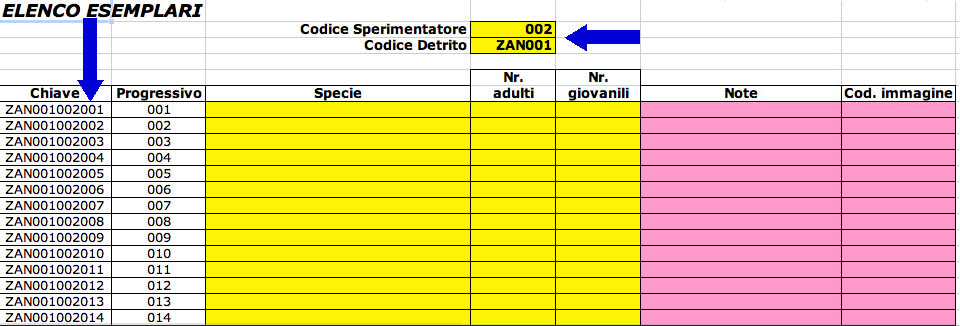 Ricerche sulla malacofauna marina di Zannone